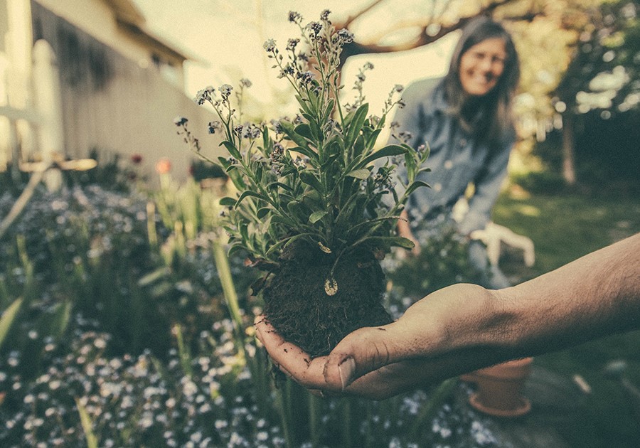 Mano che tiene una piantina con radici e terra. Donna sorridente sfocata sullo sfondo in un giardino.