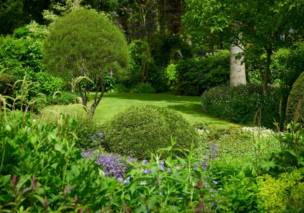 Giardino lussureggiante con prato verde, alberi potati e aiuole fiorite.